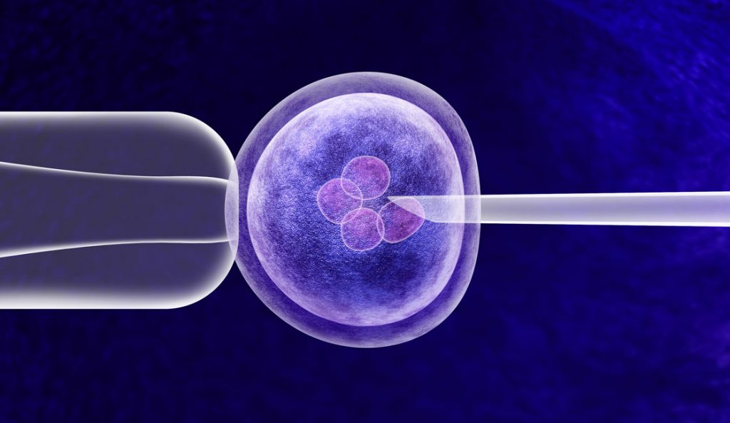 IVF